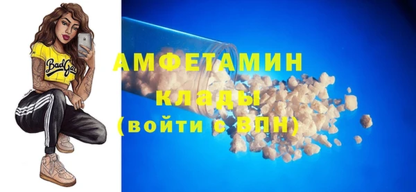 шишки Гусь-Хрустальный