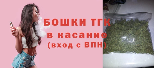 шишки Гусь-Хрустальный