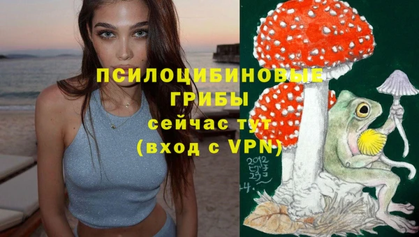 2c-b Гусиноозёрск
