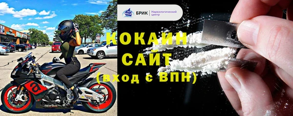 шишки Гусь-Хрустальный