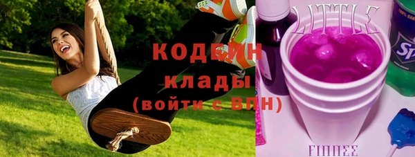 шишки Гусь-Хрустальный