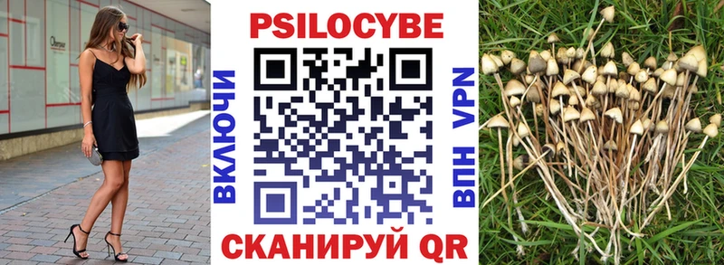Псилоцибиновые грибы мицелий  Купить закладки  Прохладный 