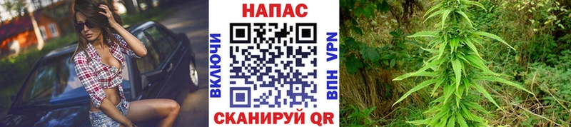 Канабис LSD WEED  Купить где  Прохладный 