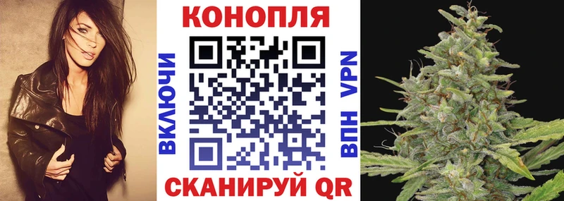 Конопля Bruce Banner Прохладный